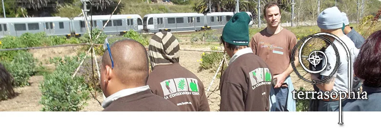 banner-green-jobs.jpg