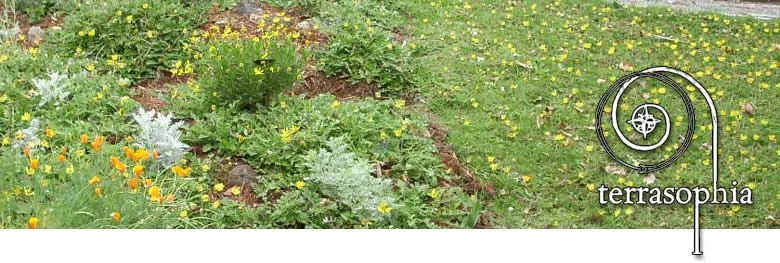 banner-landscape-juxto.jpg