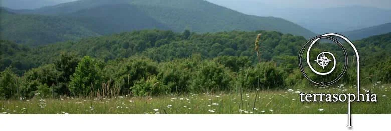 banner-meadow.jpg