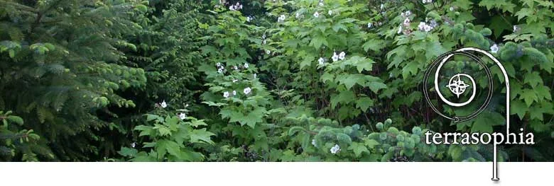 banner-native-plantings.jpg