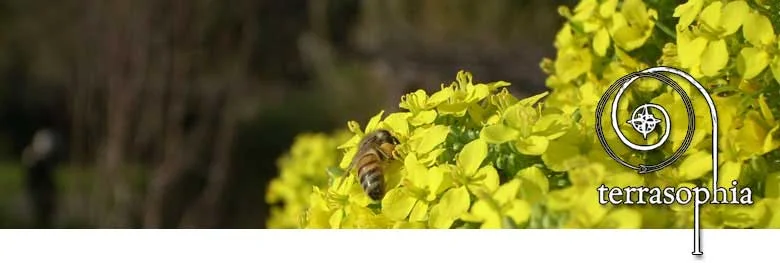 banner-pollinator.jpg