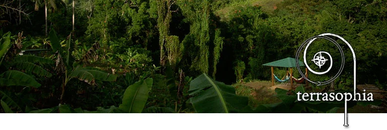 banner-plentitud.jpg
