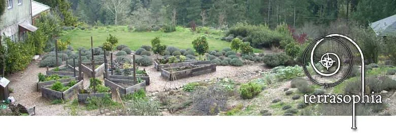 banner-raised-bed-patterns.jpg