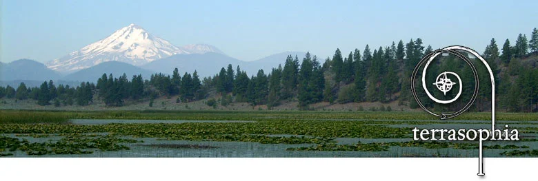 banner-shasta.jpg