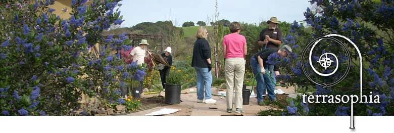 banner-sheet-mulching.jpg