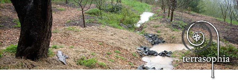 banner-water-harvest.jpg