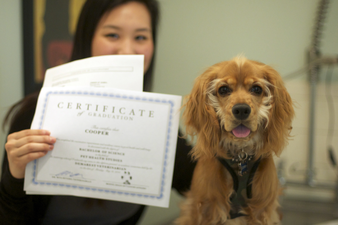 Cooper's Diploma.