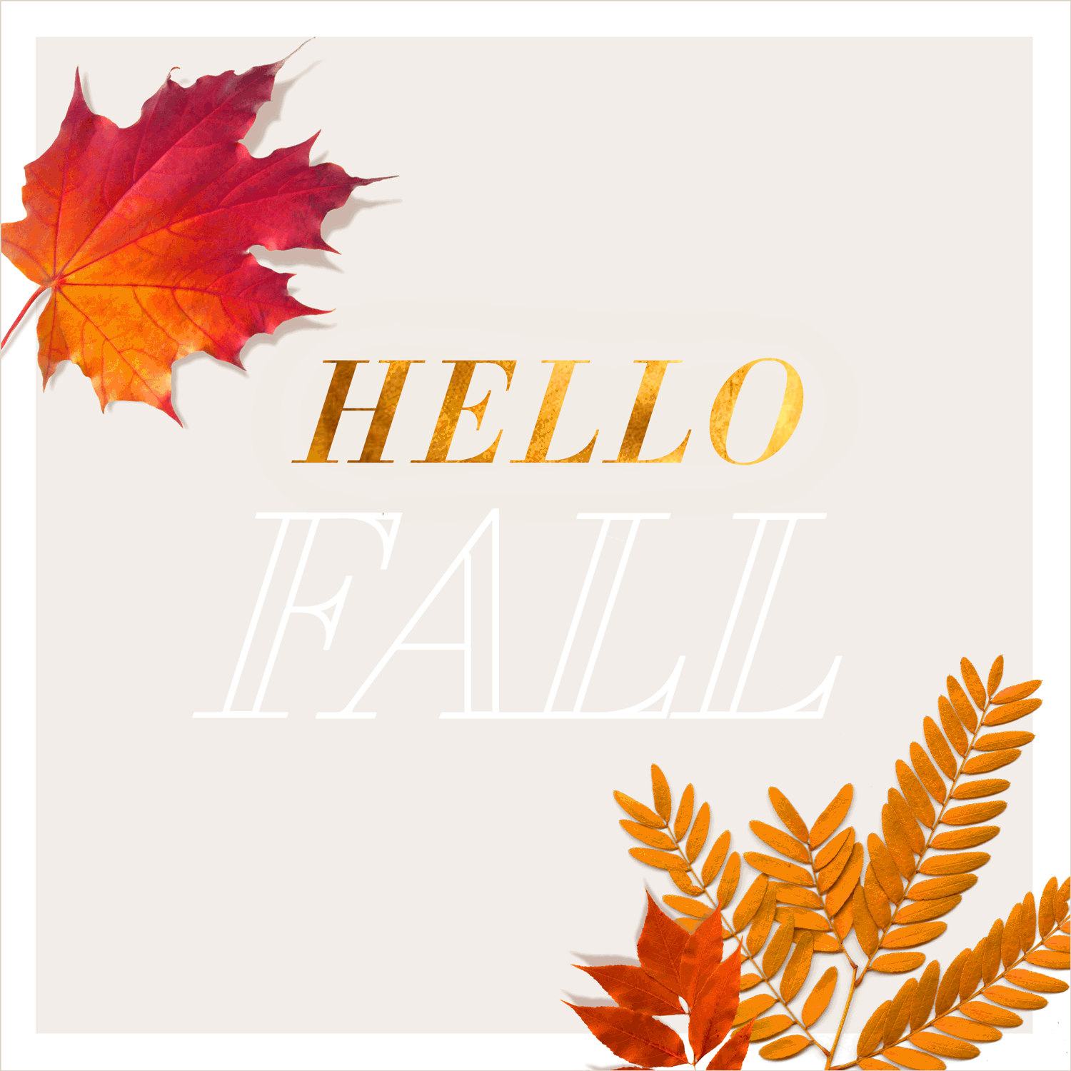 Hello Fall!