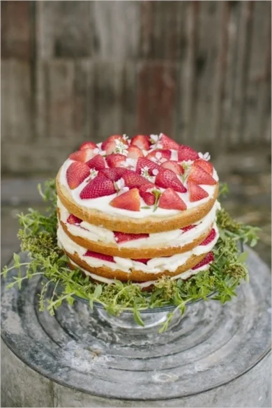 Strawberry shortcake by Mai Fink