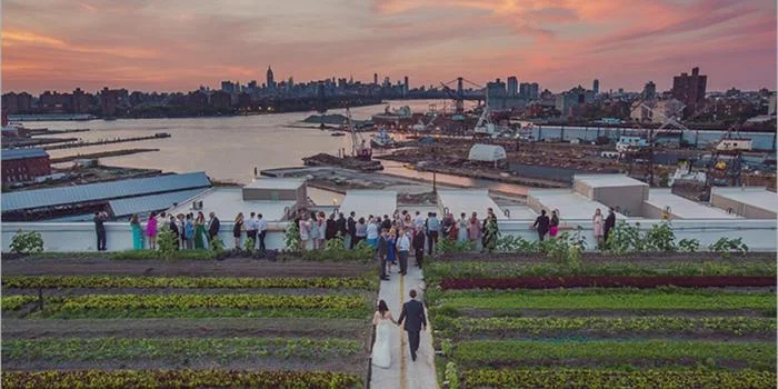 Brooklyn Grange Farm - Brooklyn Navy Yard Photo Courtesy of brooklyngrangefarm.com