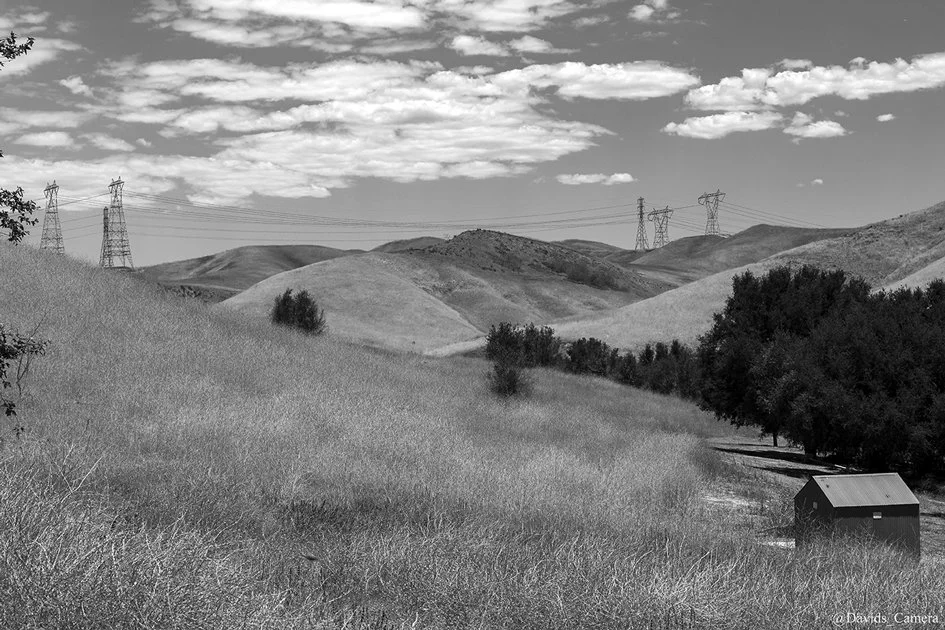 _MG_2020.jpg