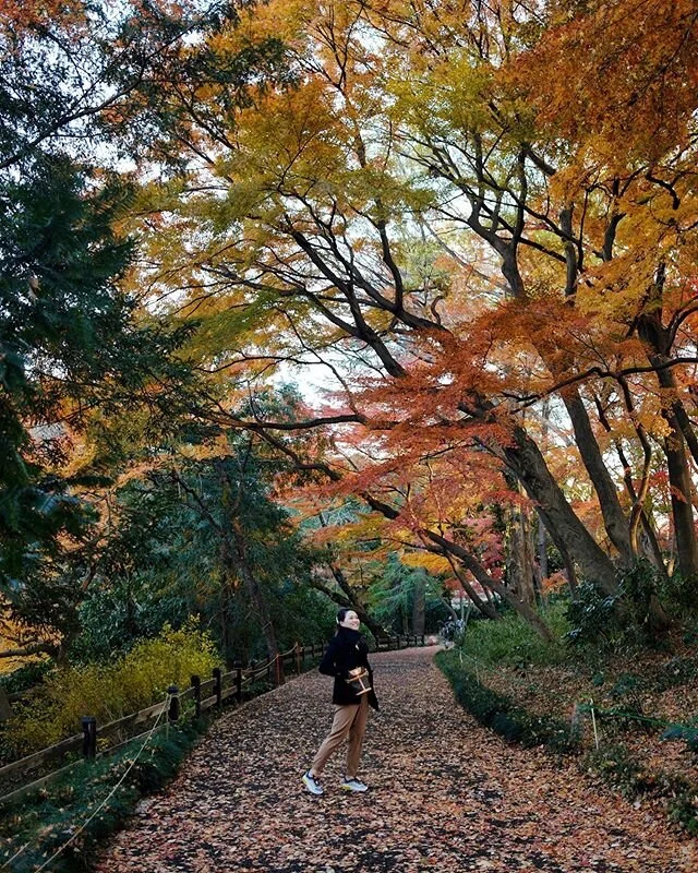 The last bit of autumn 🍂🍁🇯🇵