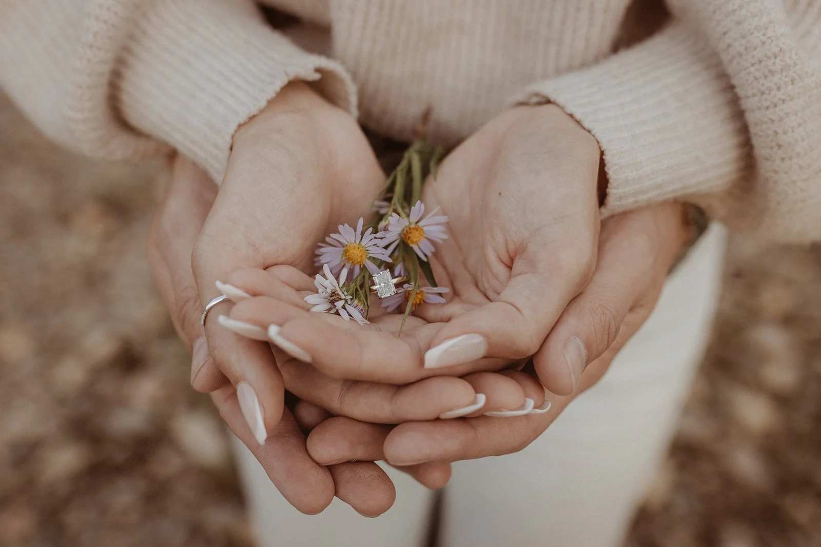 c+p_photographybylarissa-258_websize.jpg