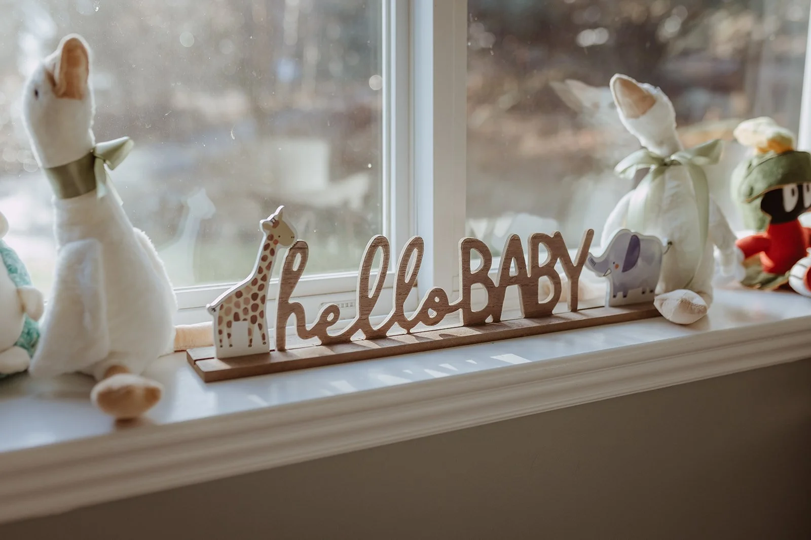 coe_photographybylarissa-1_websize.jpg