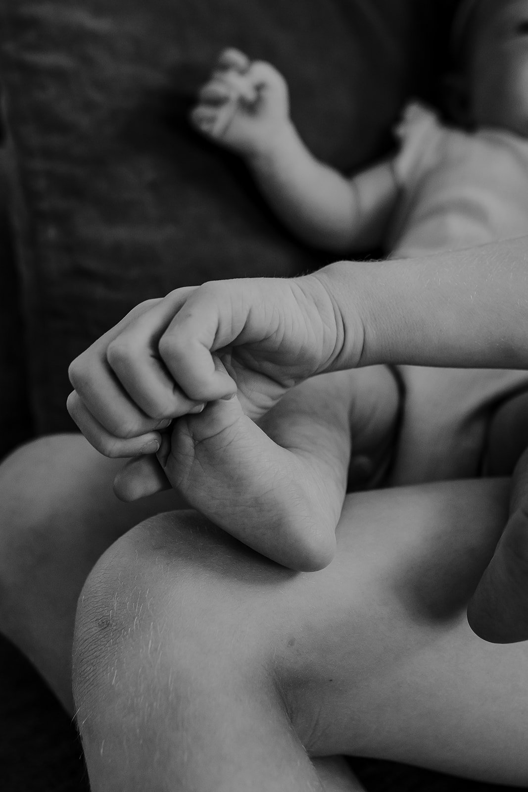 Kootenay newborn photography 