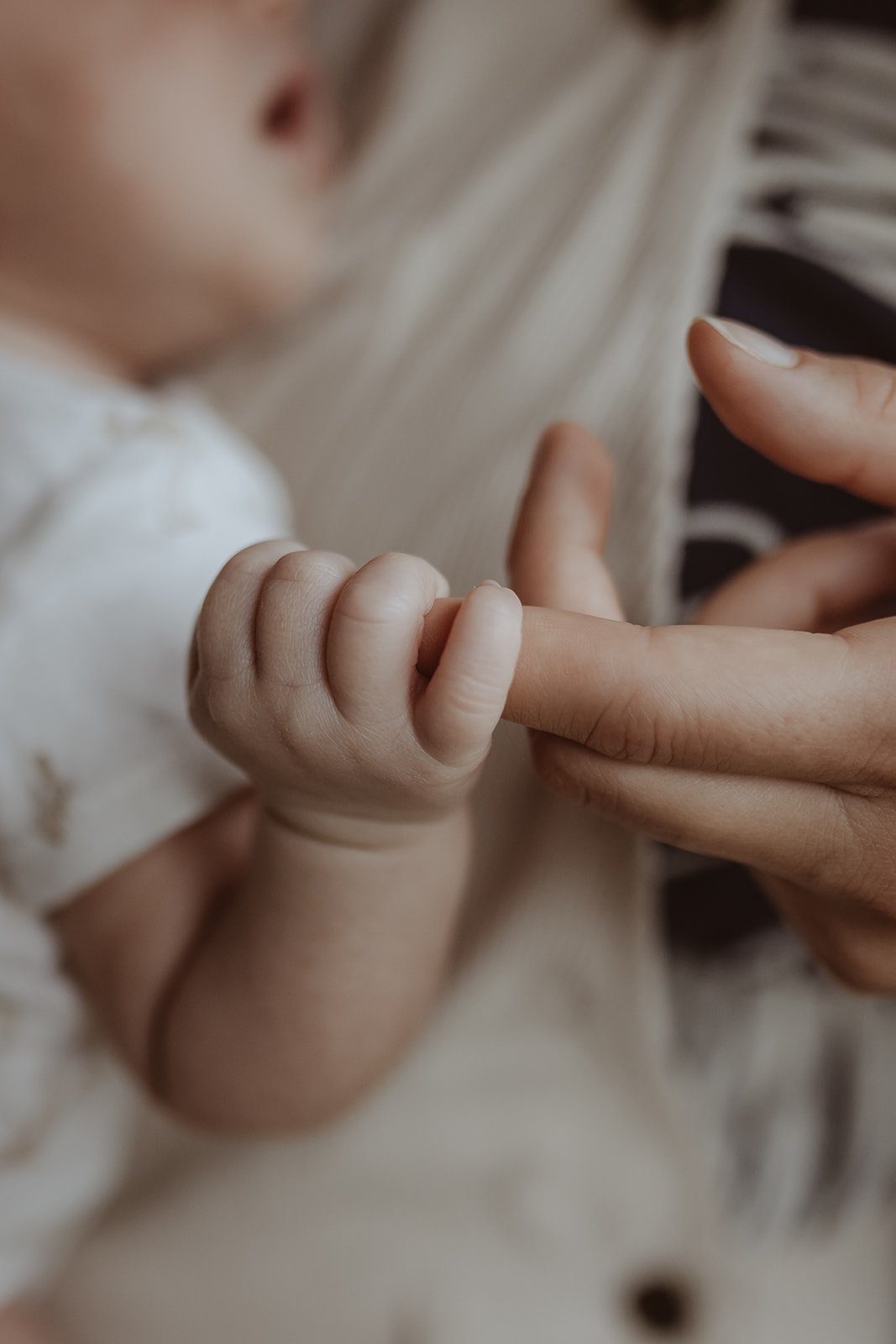 Kootenay newborn photography 