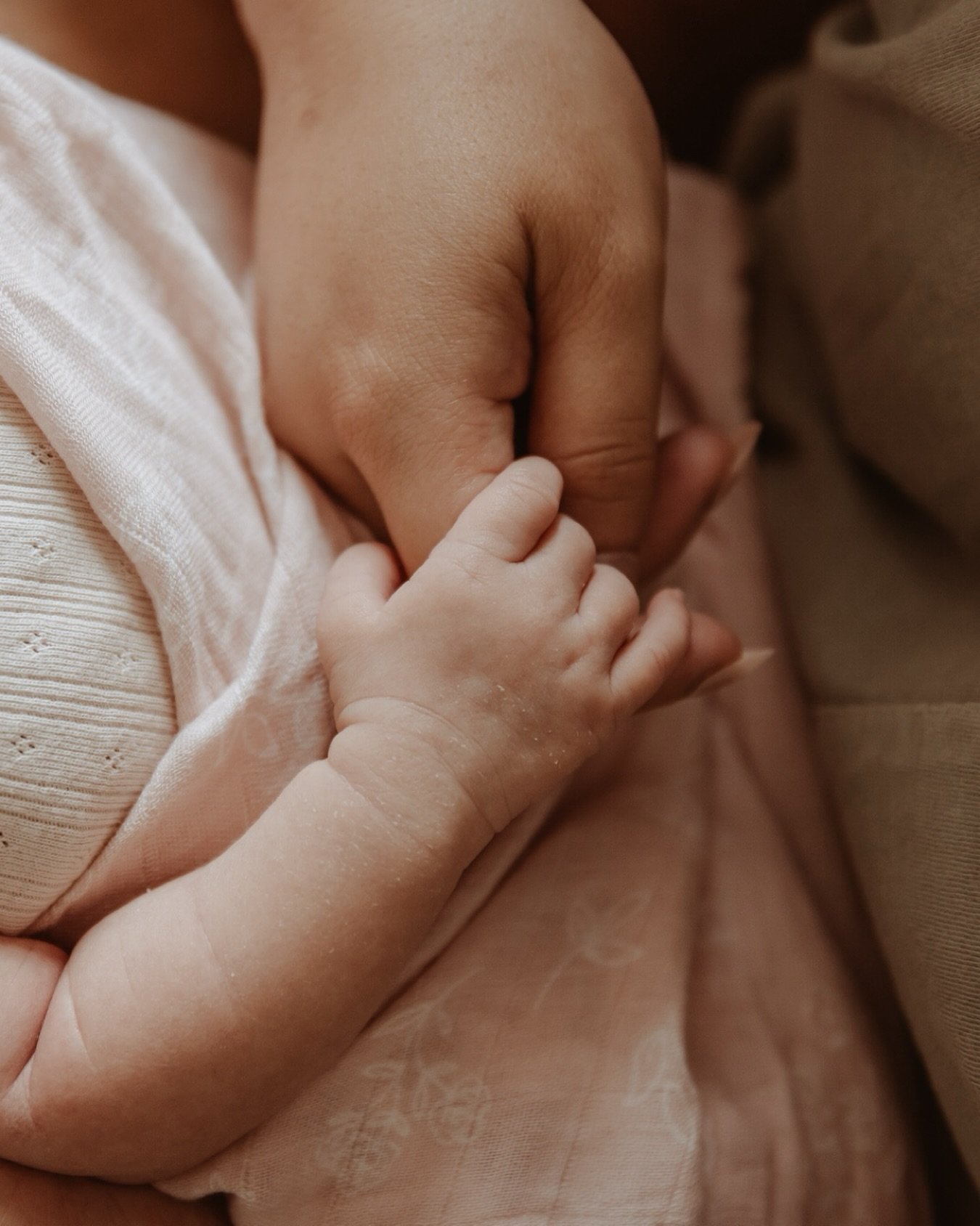 The sweetest little newborn session in the cutest little house @thespacenelson 💛 This was my second time working in The Space II in Nelson, and it truly never disappoints. It&rsquo;s more than just a studio&mdash;it&rsquo;s a beautifully curated hom
