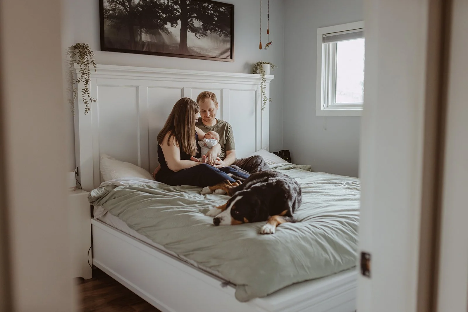 Kootenay newborn photography 