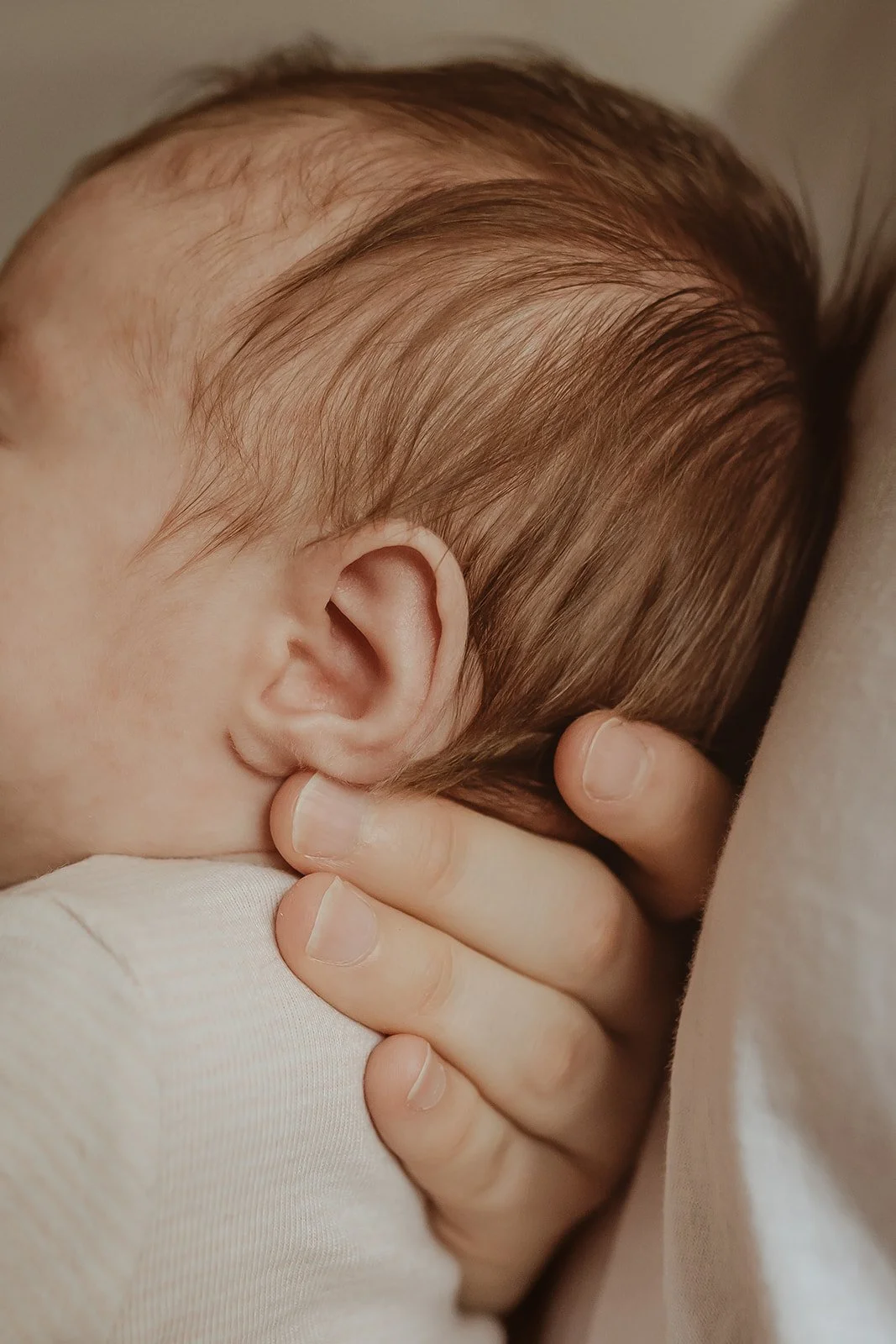 Kootenay newborn photography 