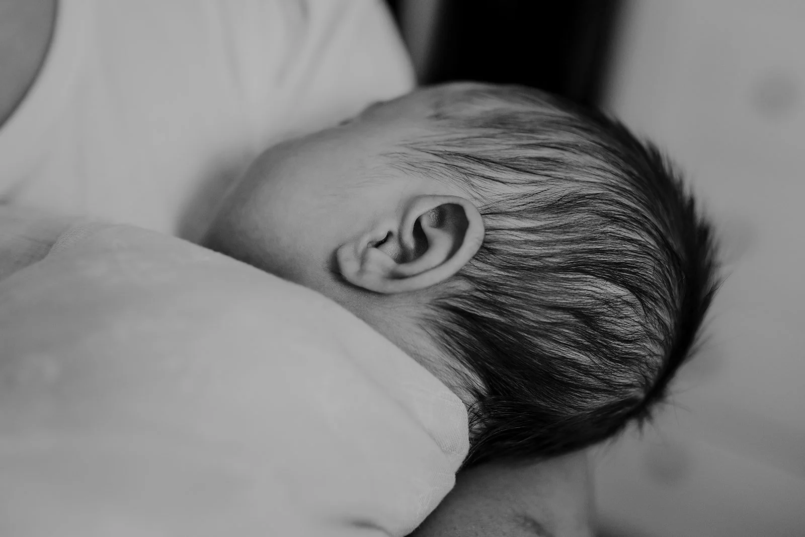 Kootenay newborn photography 