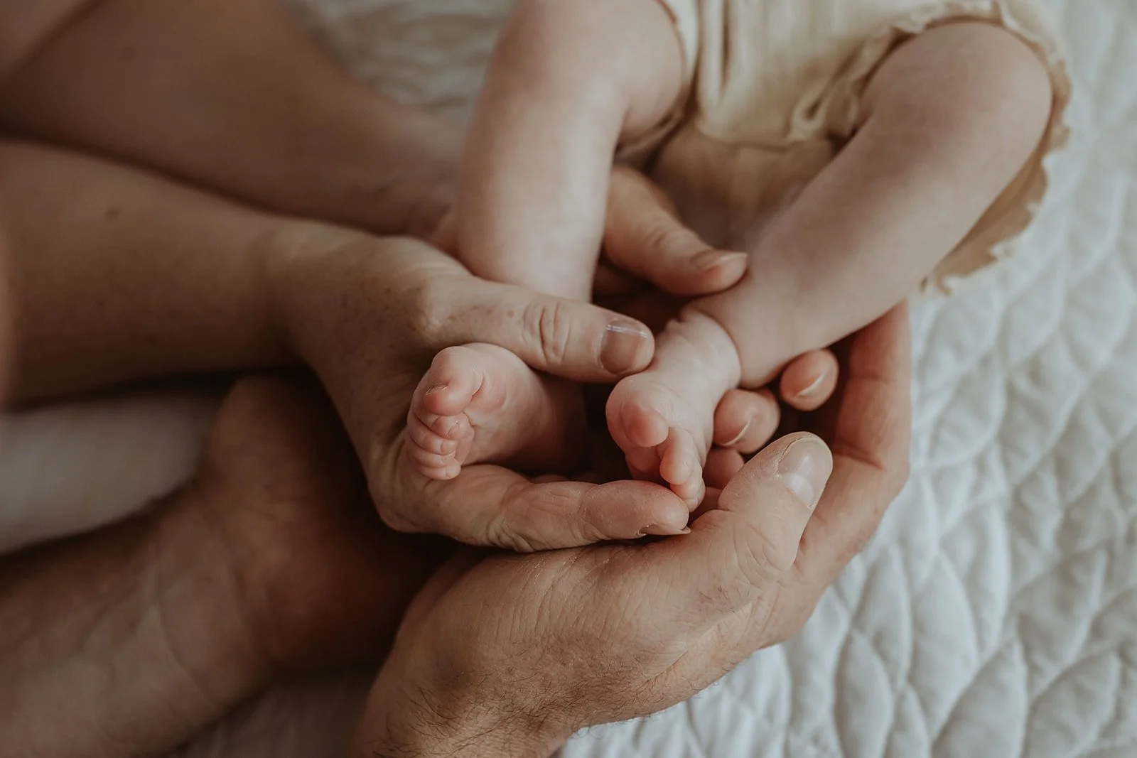 Kootenay newborn photography 