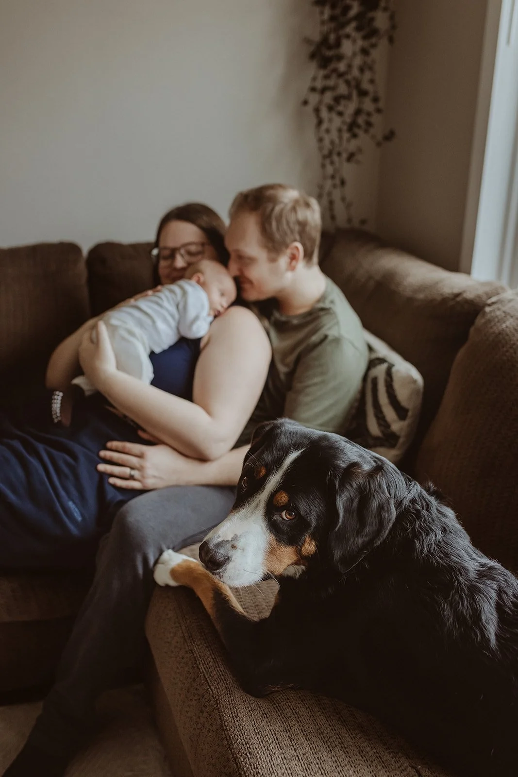 Kootenay newborn photography 