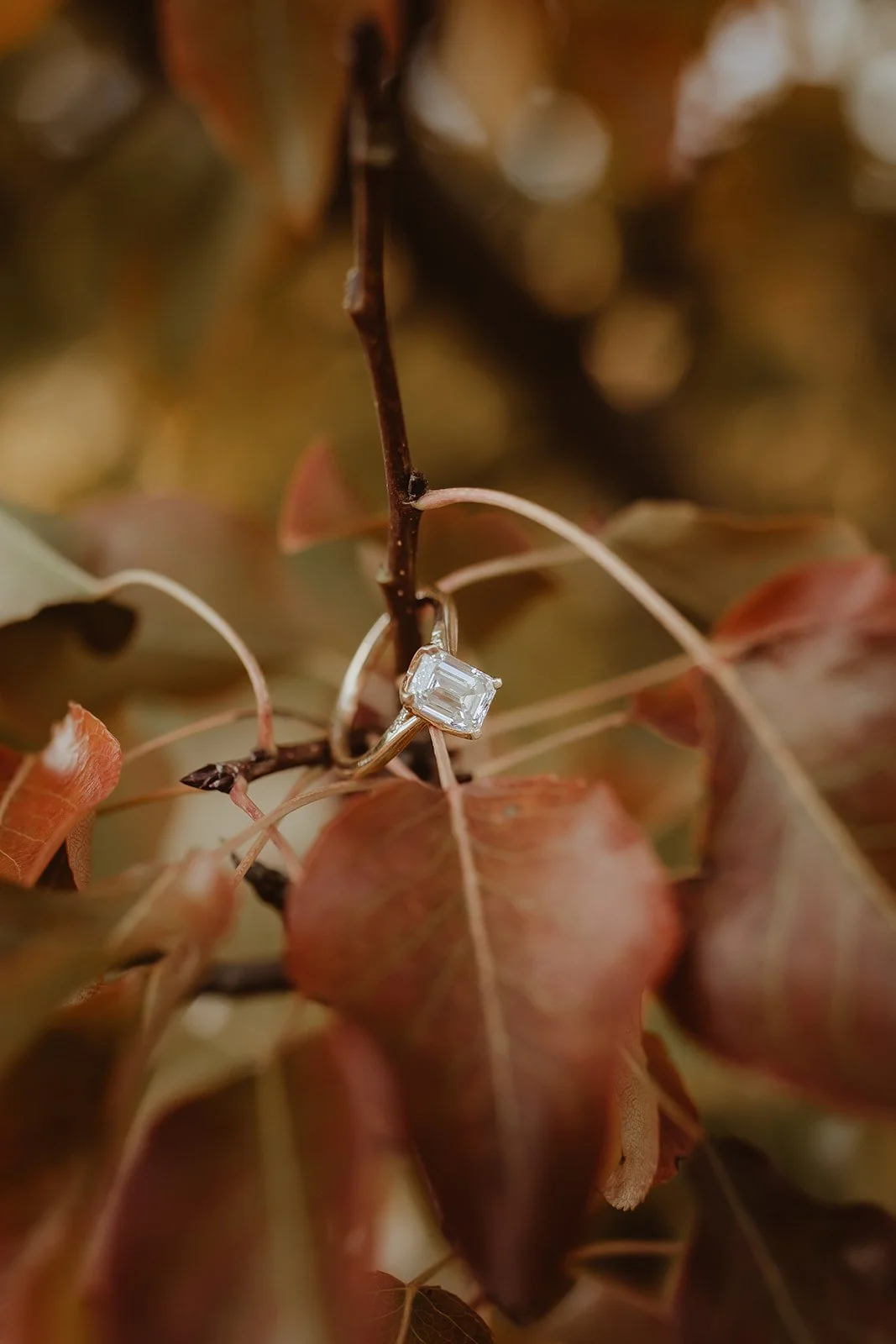 n+j_photographybylarissa-197_websize.jpg