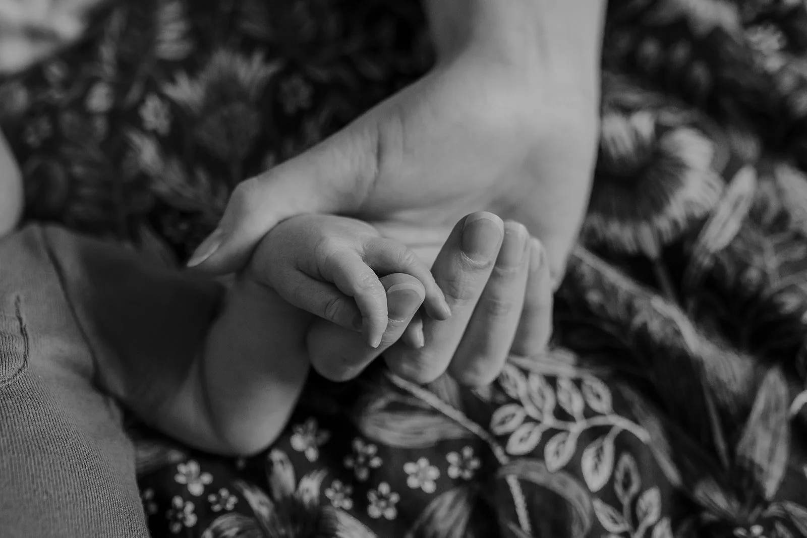 Kootenay newborn photography 