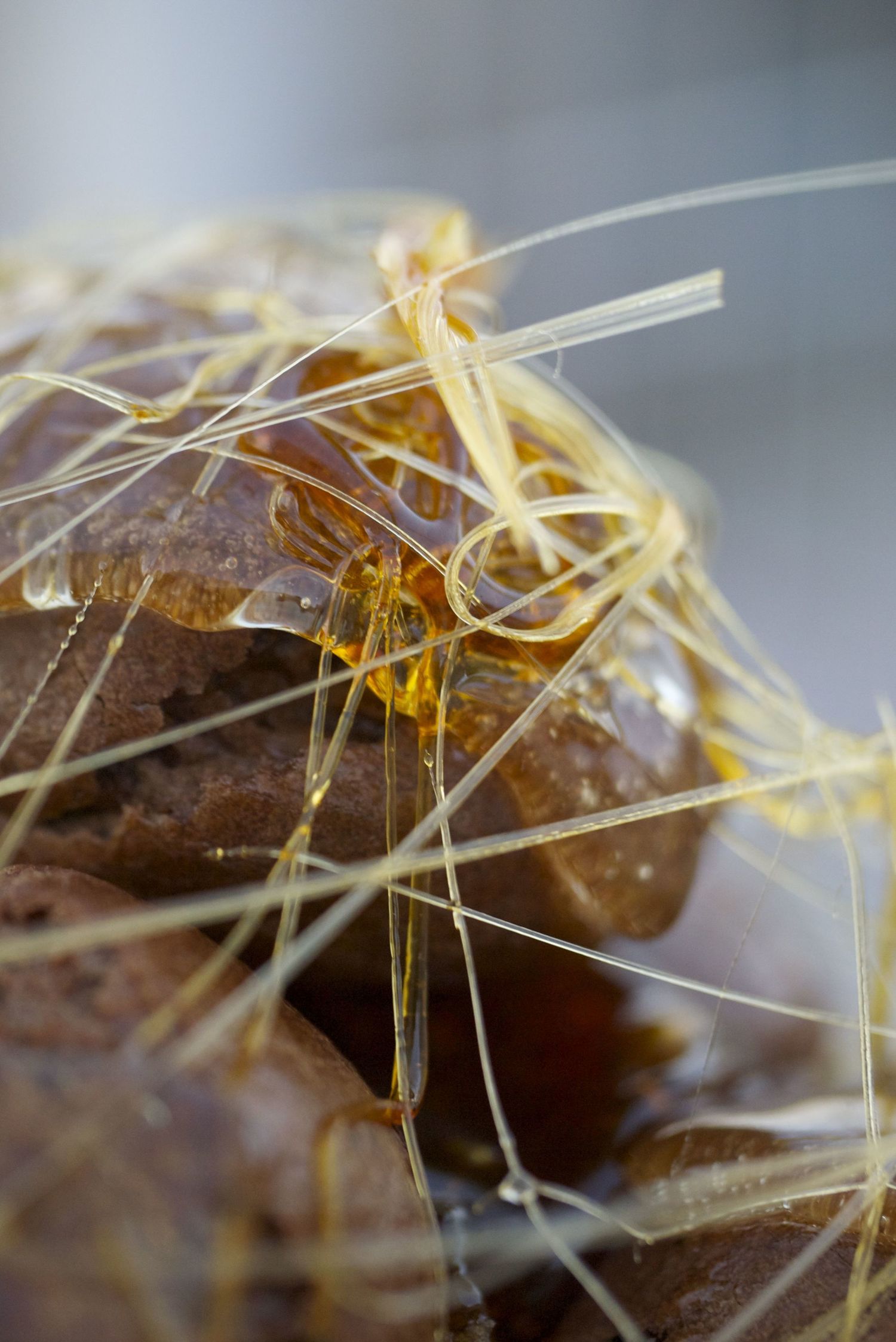 spun+caramel+sugar+closeup.jpeg