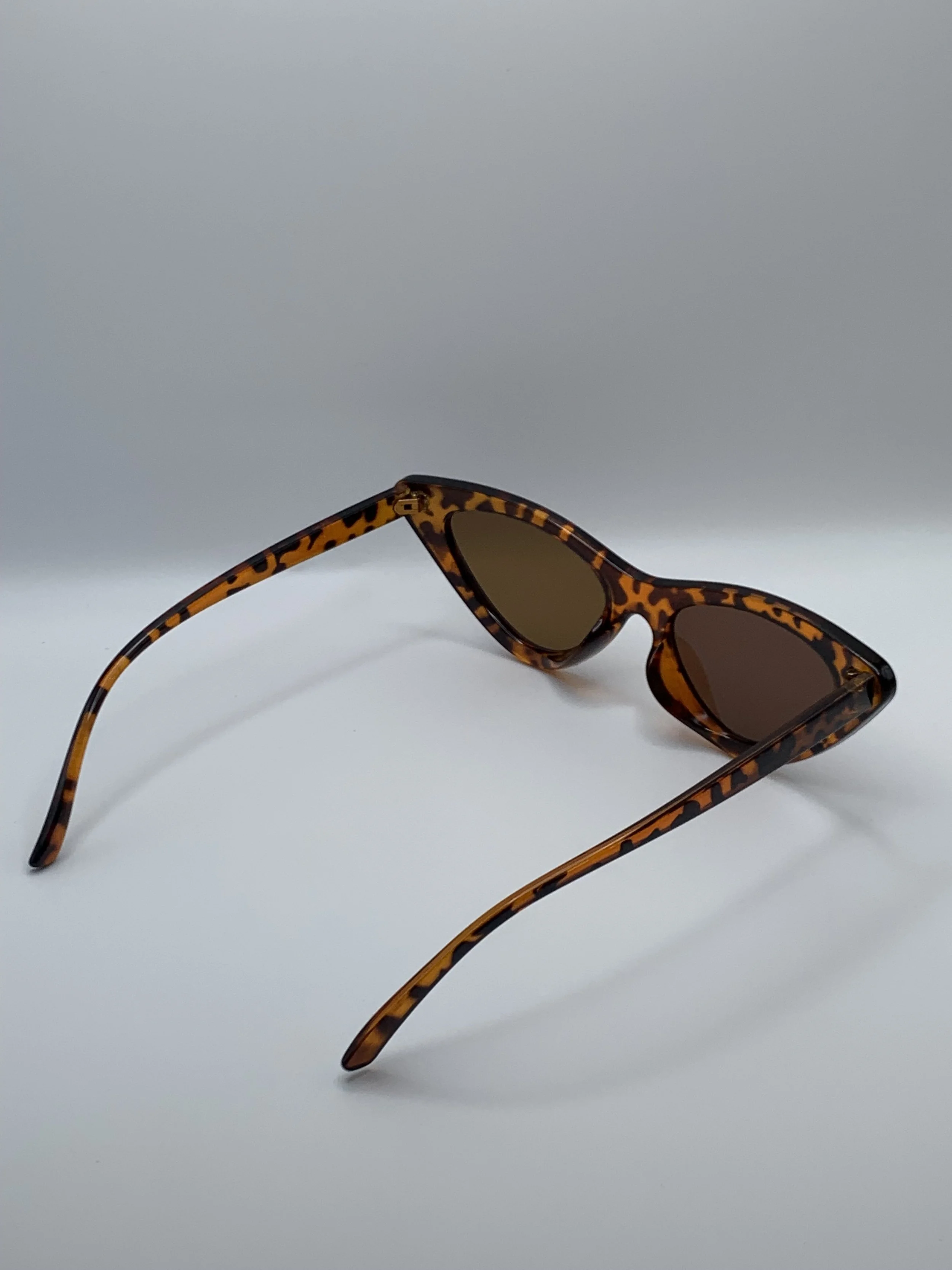 Betty in Tortoise.JPG