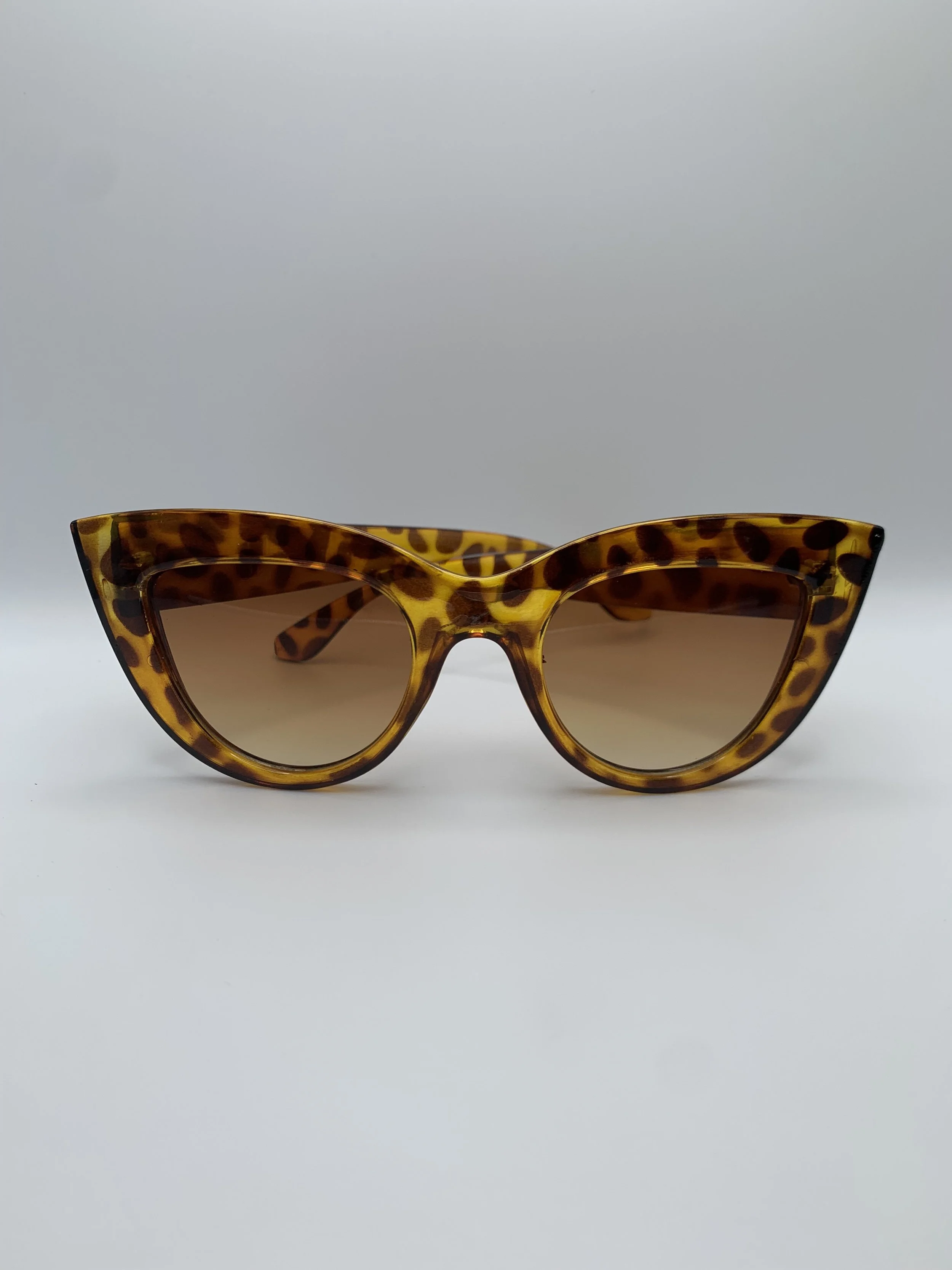 Joan sunglesses in Tortoise.JPG