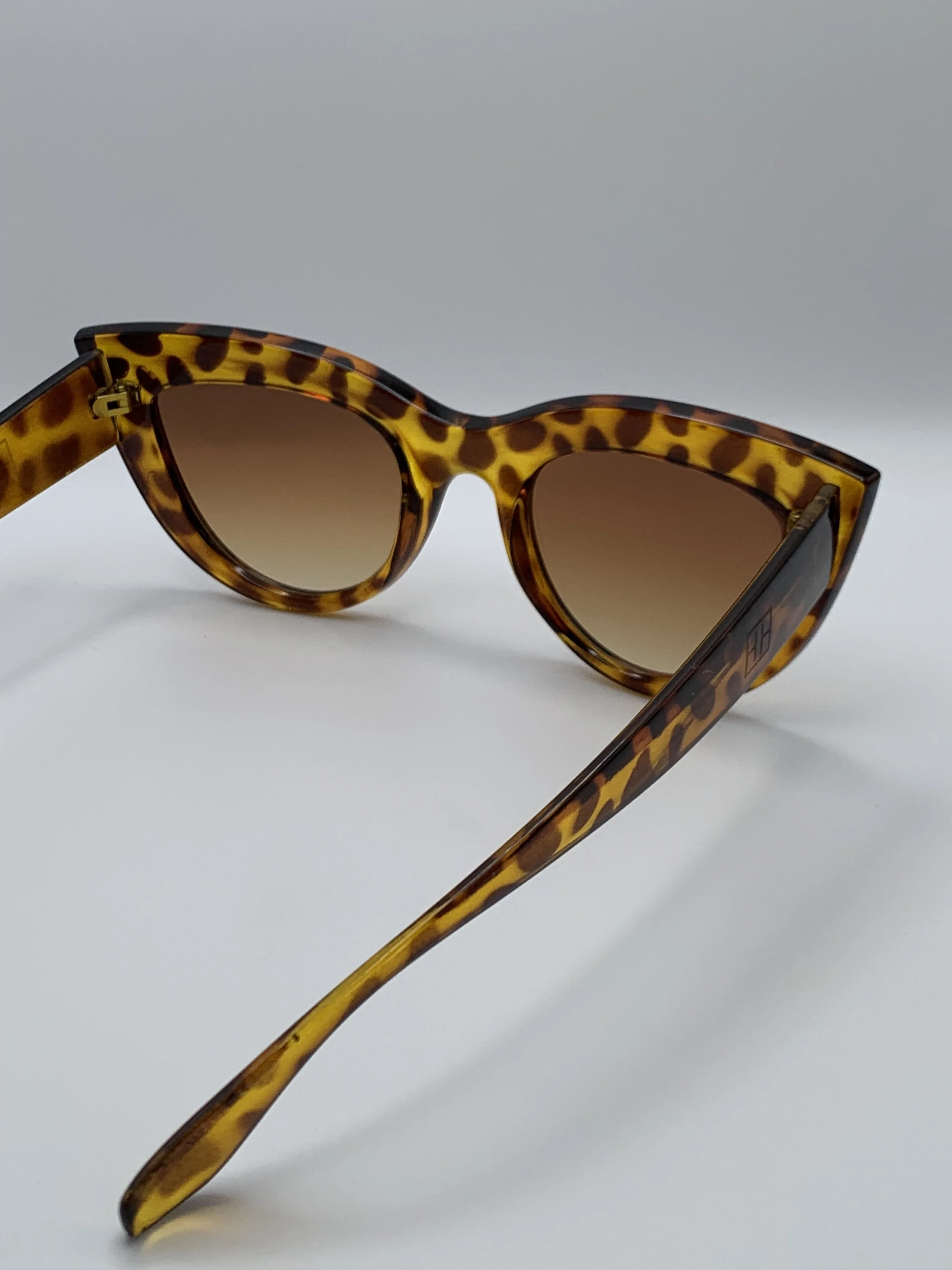 Joan in Tortoise.JPG