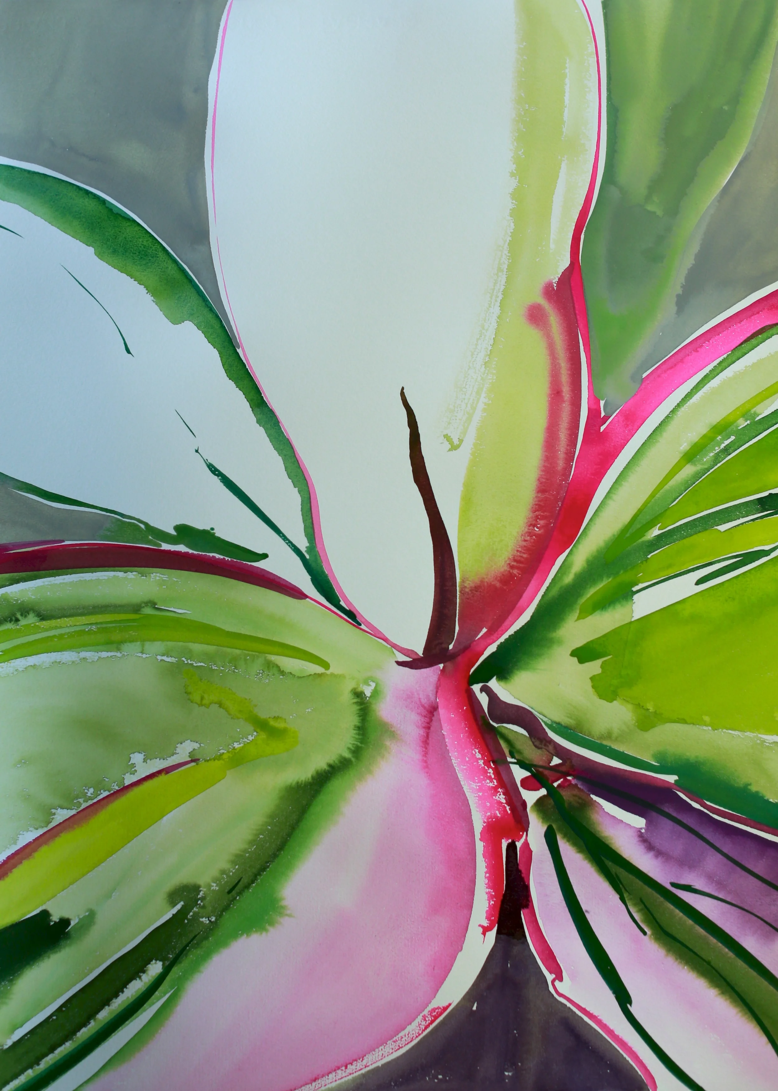 Floral study 6