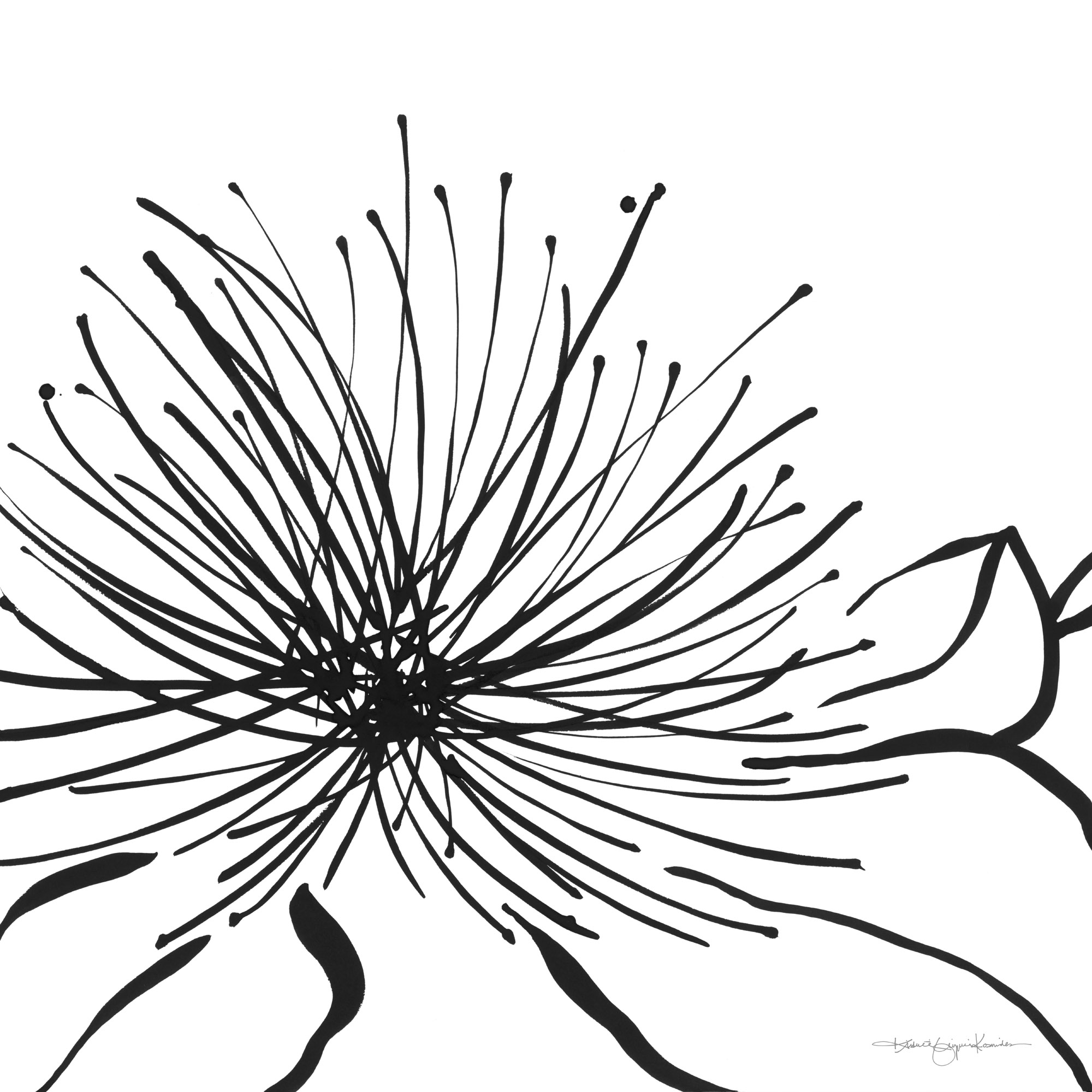 Kosmides_Art-2a_24x24.jpg