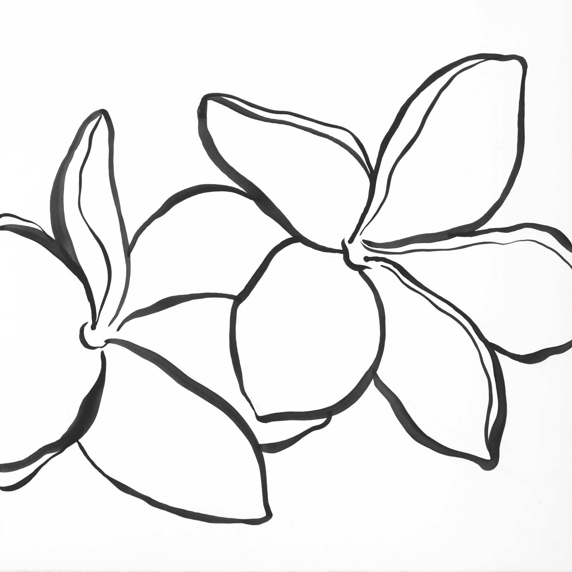 Kosmides_Art-52b_24x24_360ppi.jpg