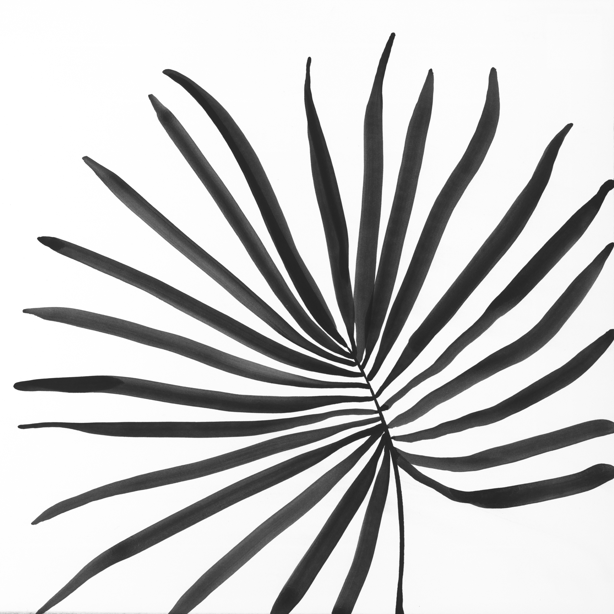 Kosmides_Art-52c_24x24_3630ppi.jpg