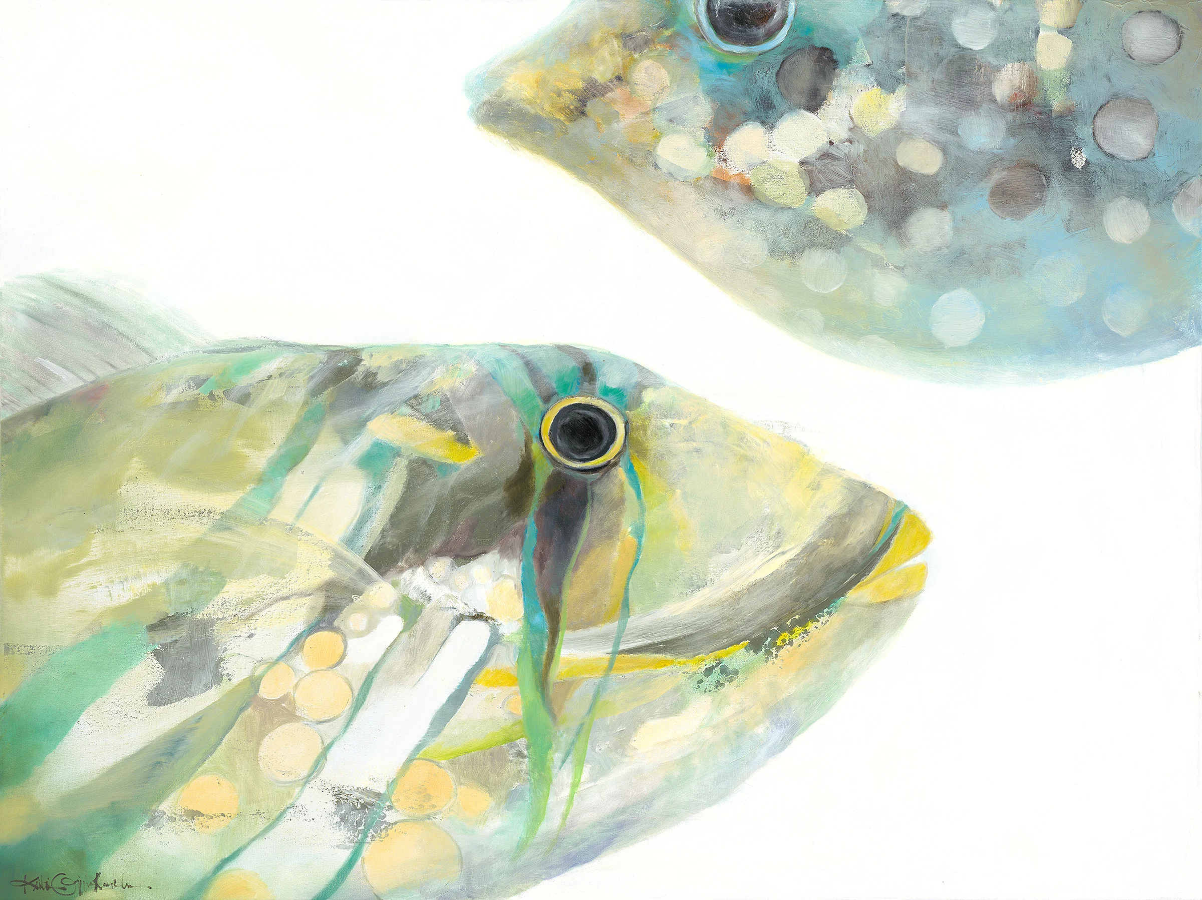 Humuhumunukunukuapuaa and Balloon Fish