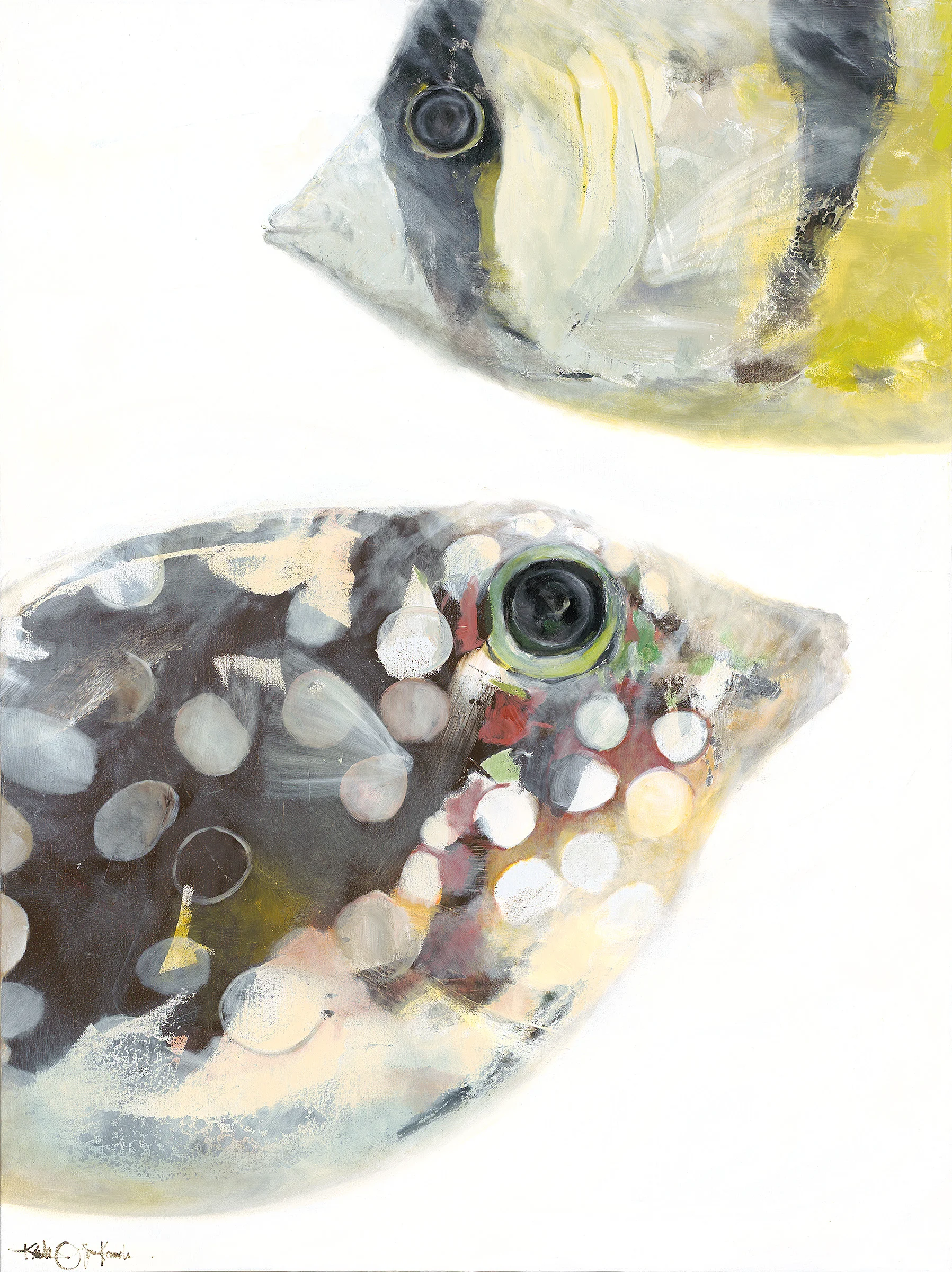 Tang and Balloon Fish