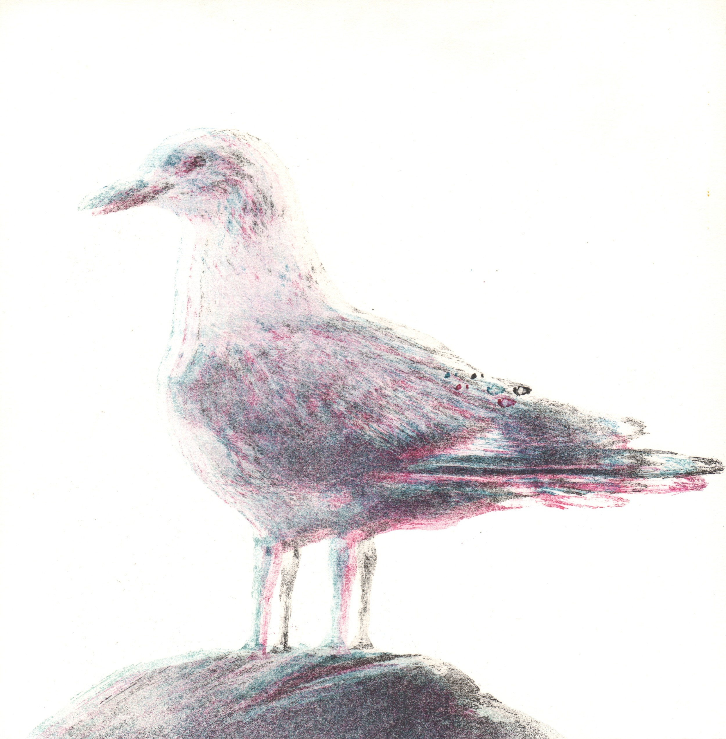 Lokki 2015