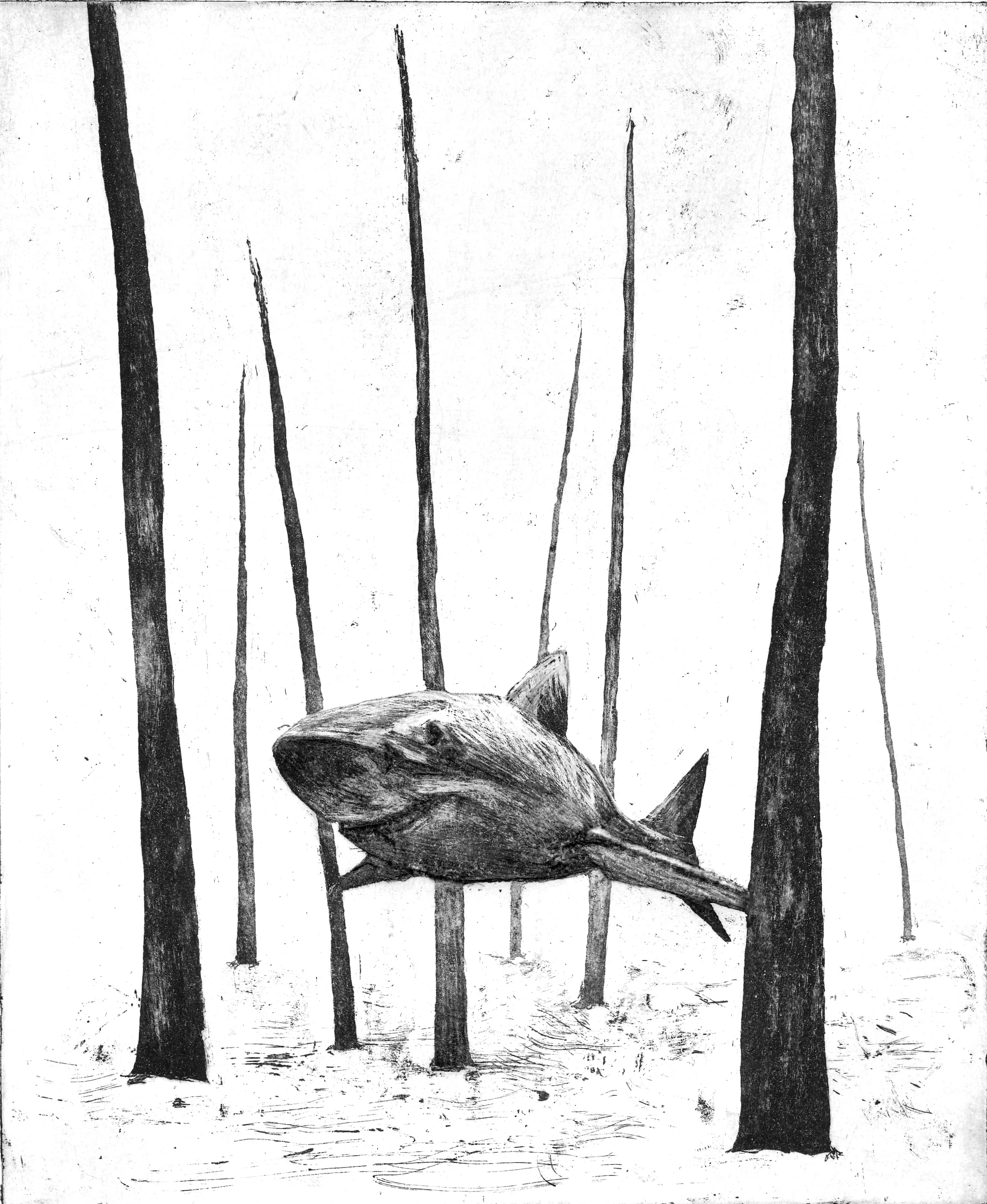 Illustration for high school studybook 2012 KIELIKIRJA - Lukion äidinkieli ja kirjallisuus (Sanomapro oy)