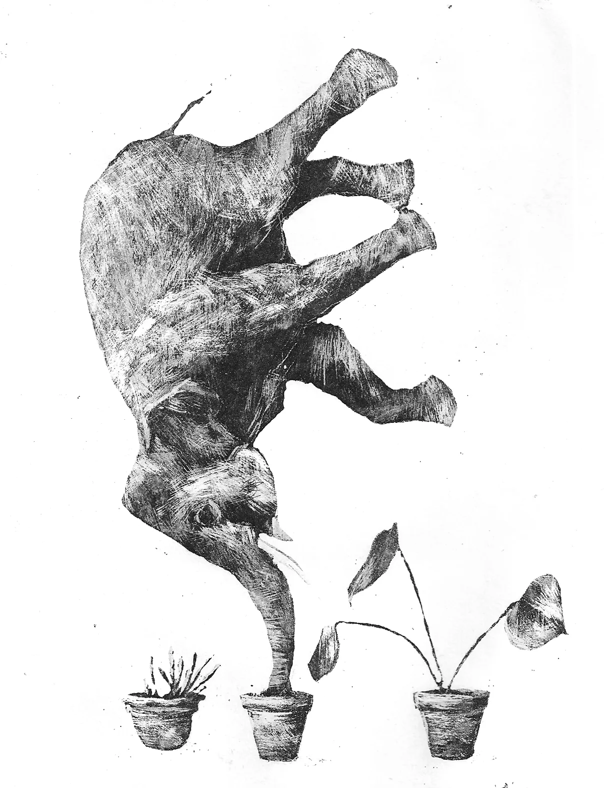 Illustration for high school studybook 2012 KIELIKIRJA - Lukion äidinkieli ja kirjallisuus (Sanomapro oy)