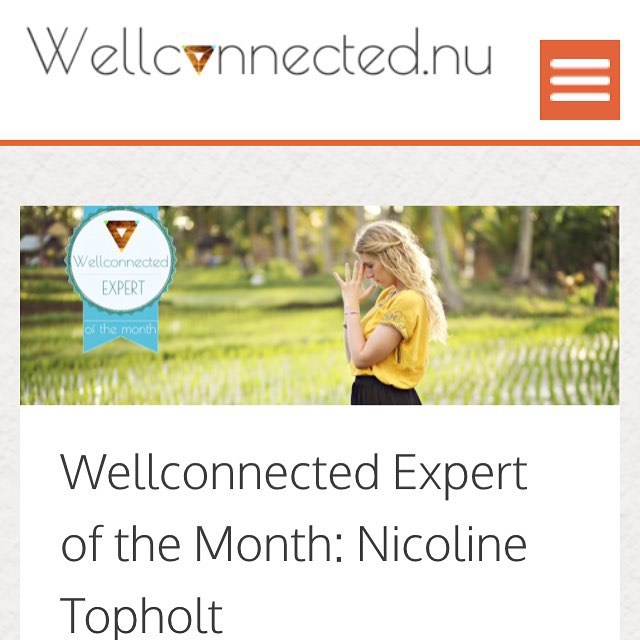 Engelsk artikel på portalen wellconnected.co