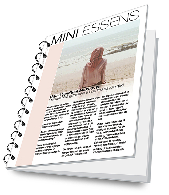 Hent din workbook HER