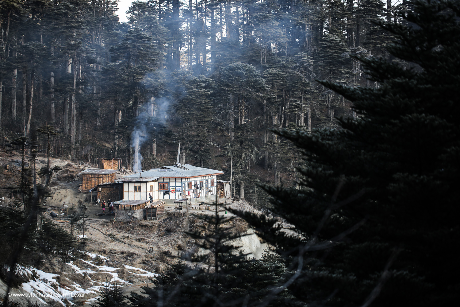 The house that the lady who brought us tea lives in