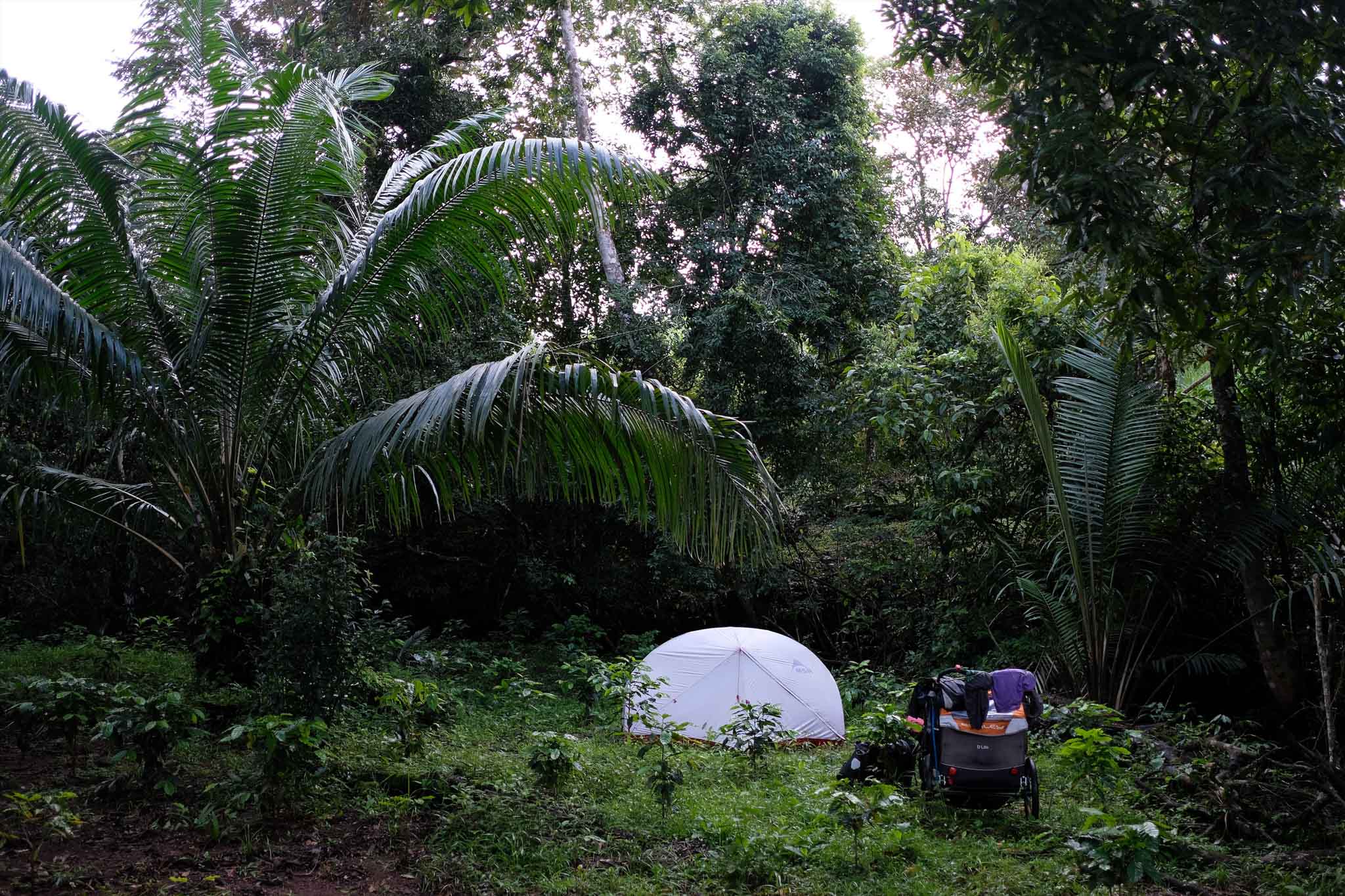 Jungle Camping in Panama