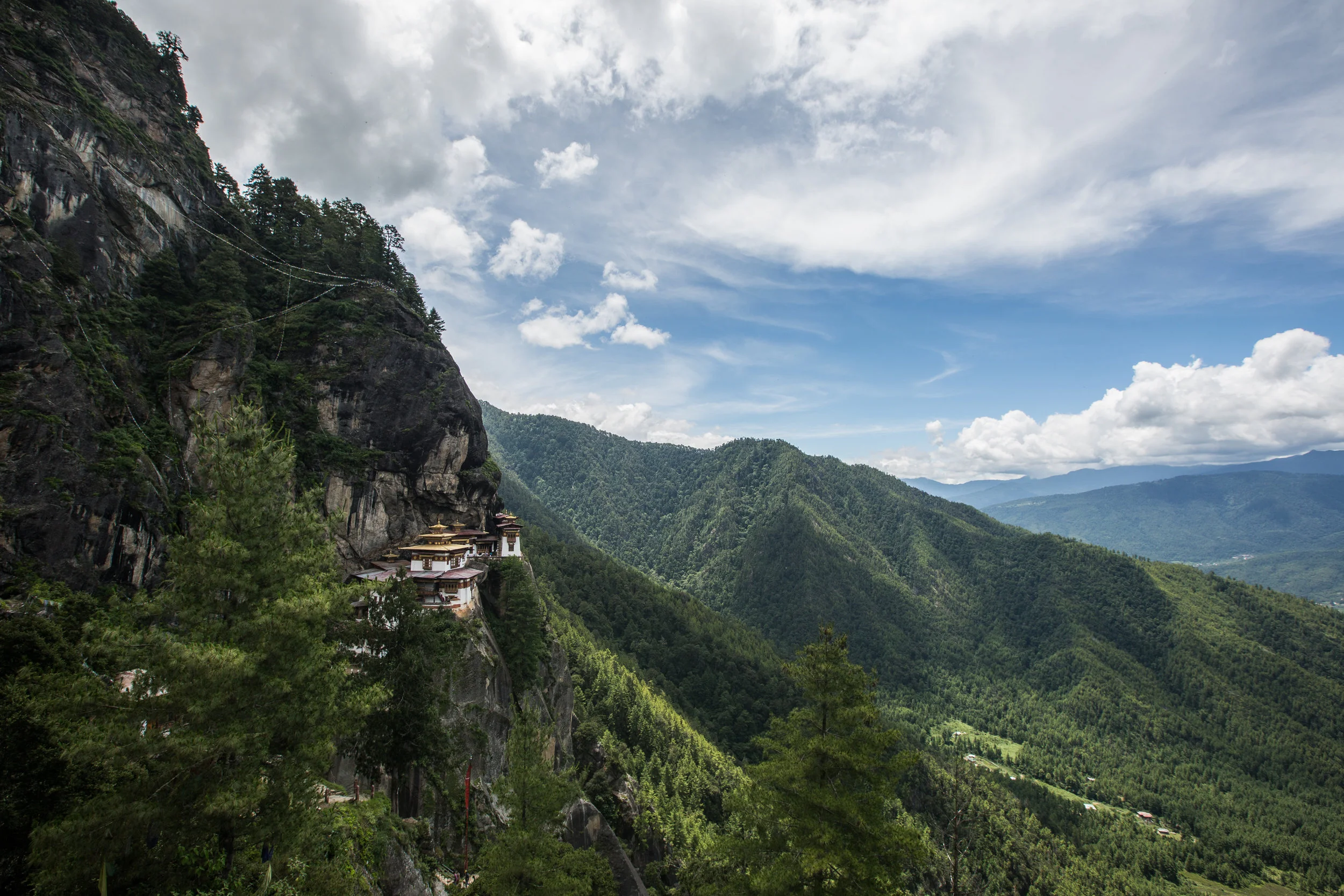 Dylan Haskin Photography