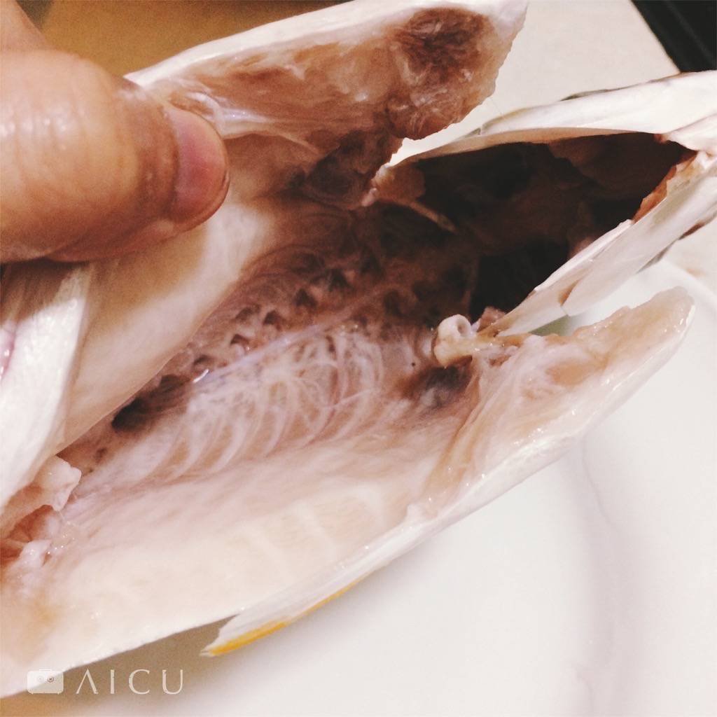 阿禾師的金鯧,連魚腹裡頭都清理的非常乾淨,吃起來一點腥味也無。