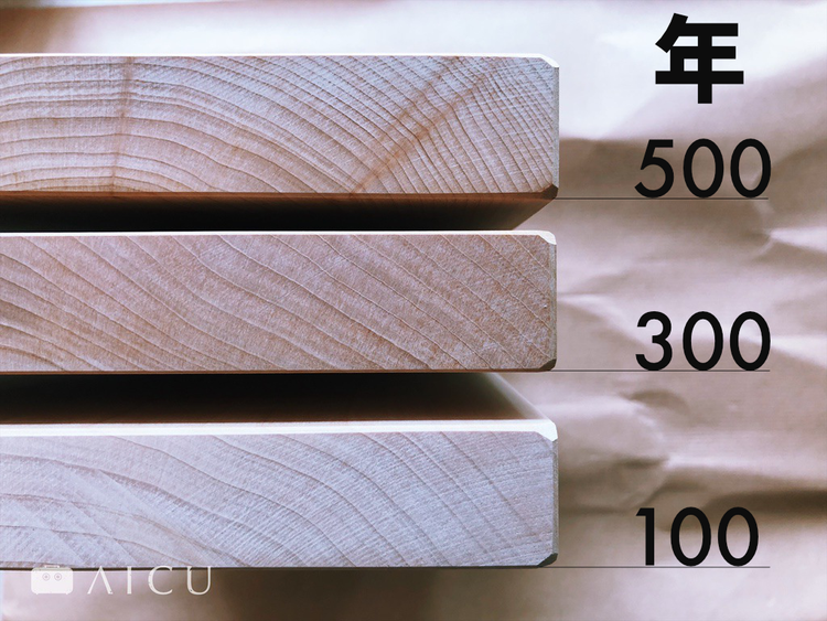 500 年、300 年、100 年銀杏砧板側面年輪比較