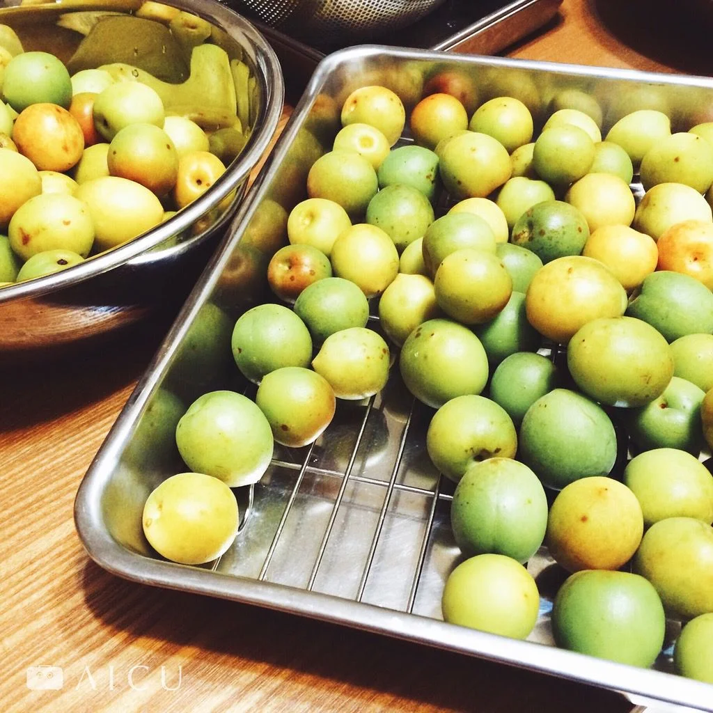 梅子一收到就要儘快加工，避免轉熟成黃。
