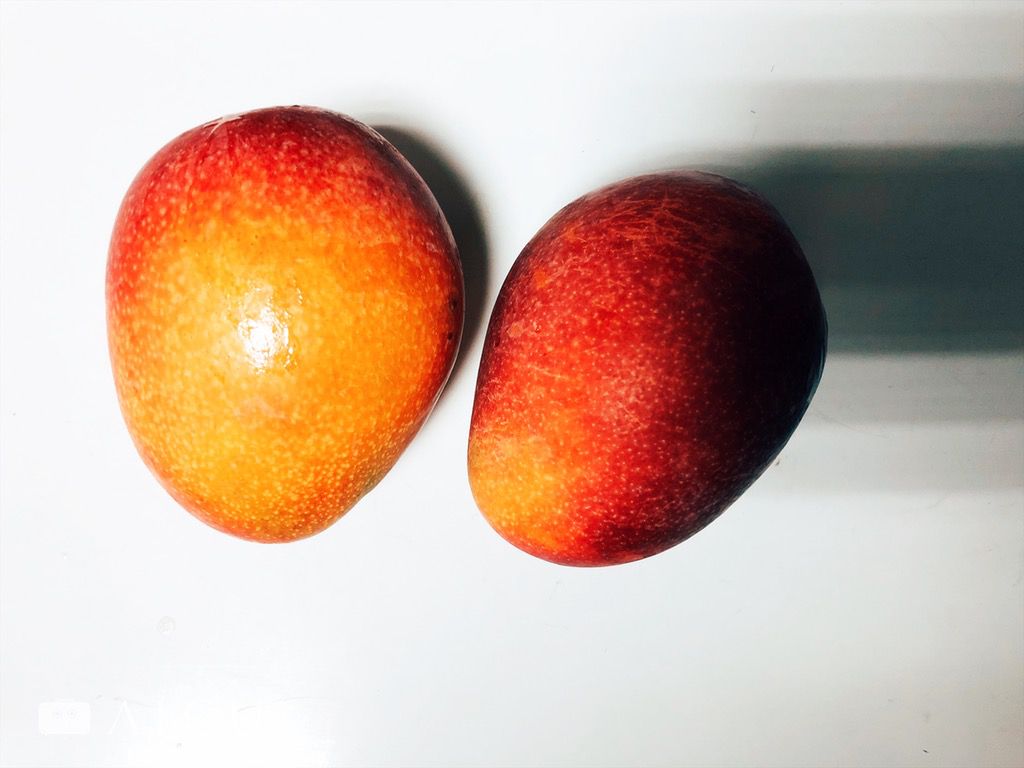 左為一箱20顆、右為一箱24顆。